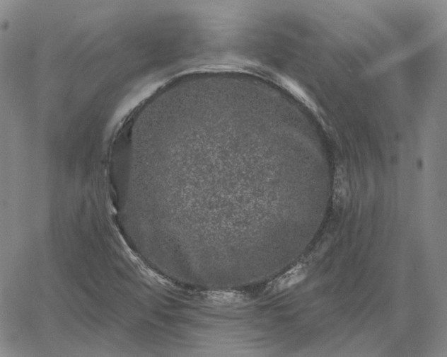 X0000061731456200512091533