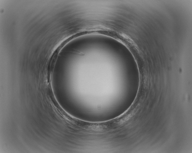 X0000061731457200512091533