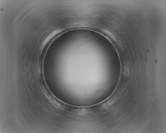 X0000061731458200512091533