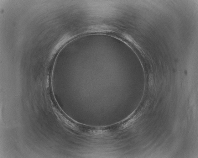 X0000061731459200512091533