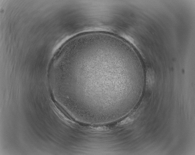 X0000061731460200512091533