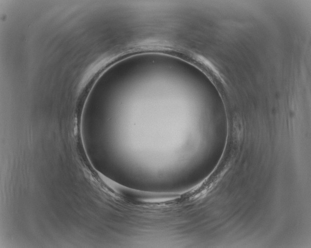 X0000061731461200512091533