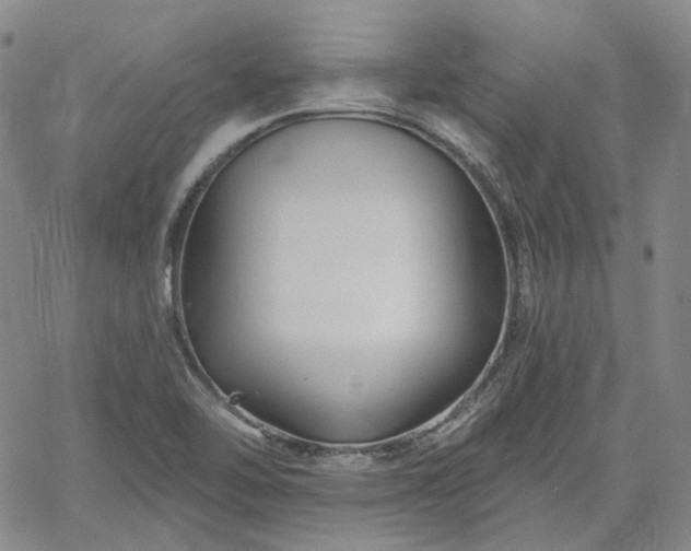 X0000061731462200512091533