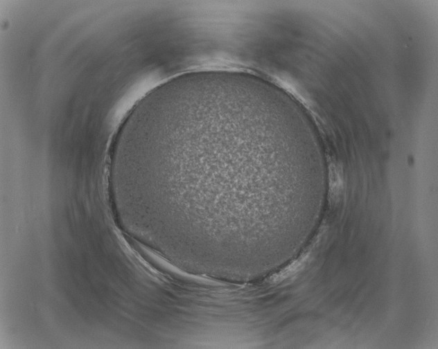 X0000061731463200512091533