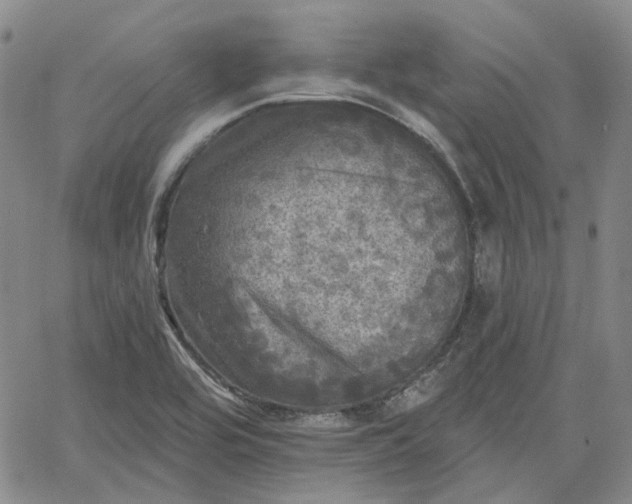 X0000061731464200512091533