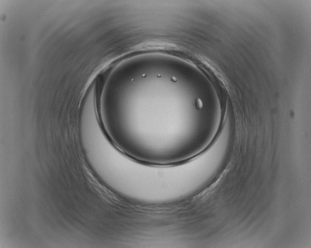 X0000061731465200512091533