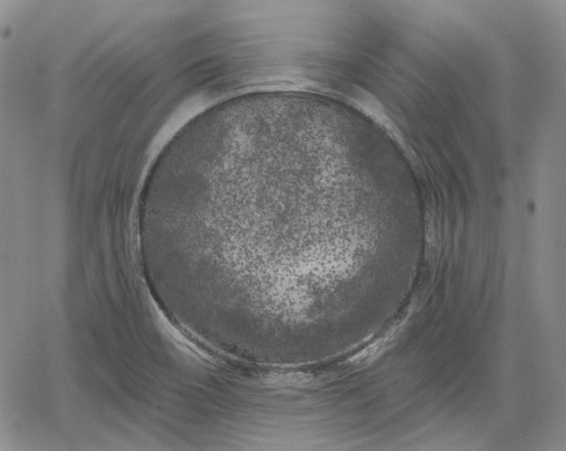 X0000061731466200512091533