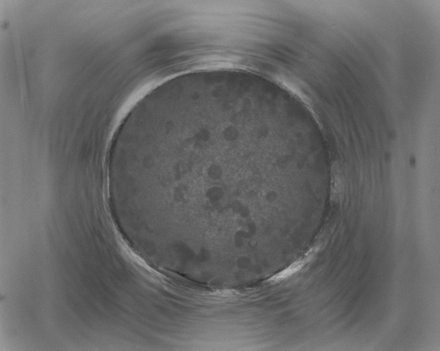 X0000061731467200512091533