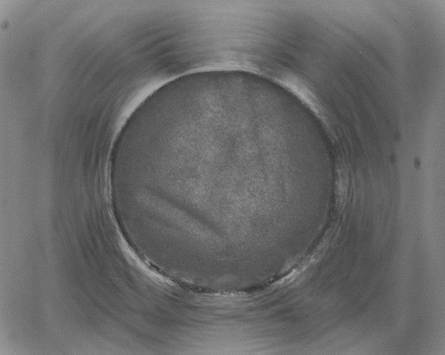 X0000061731468200512091533