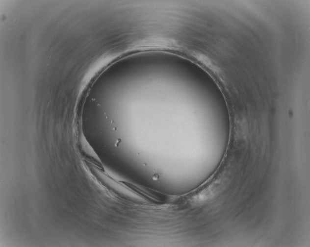 X0000061731469200512091533