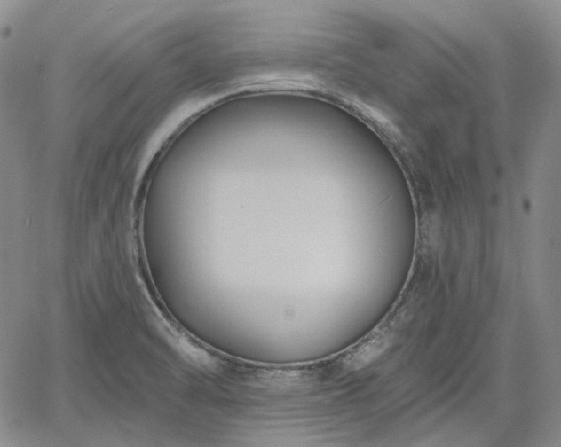 X0000061731470200512091533