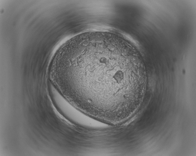 X0000061731471200512091533