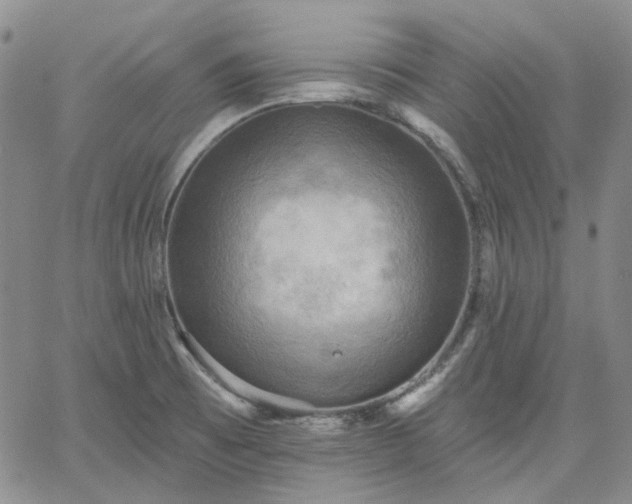 X0000061731473200512091533