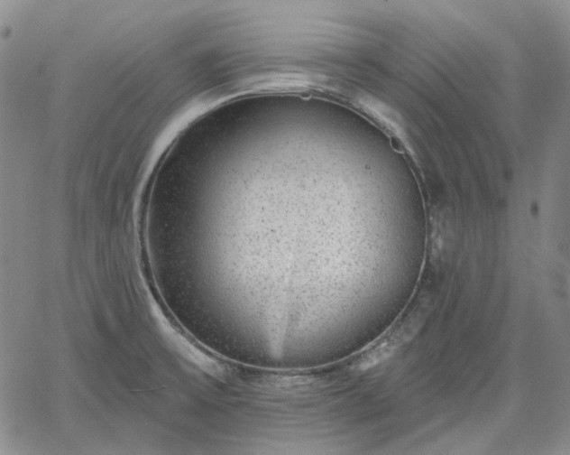 X0000061731475200512091532