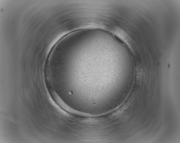 X0000061731476200512091532