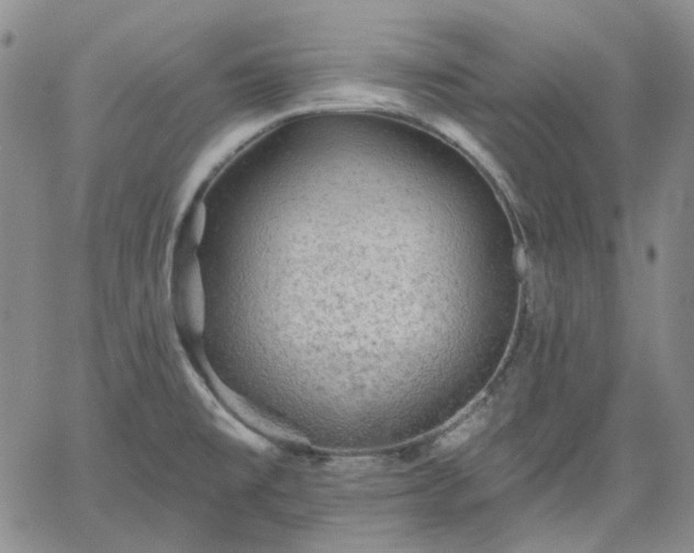 X0000061731477200512091532