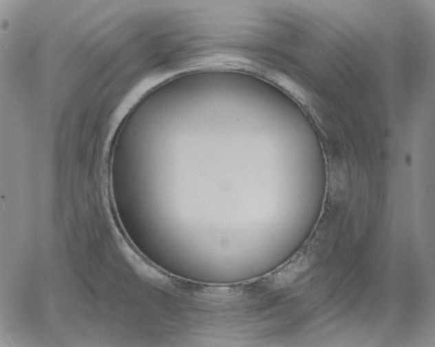 X0000061731478200512091532