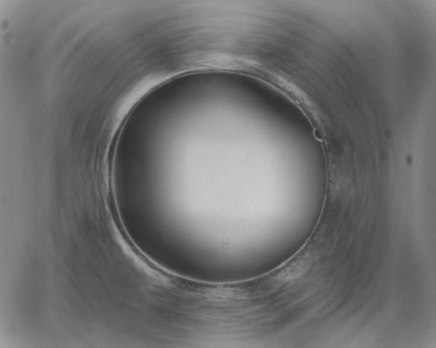 X0000061731479200512091532