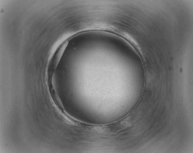 X0000061731480200512091532