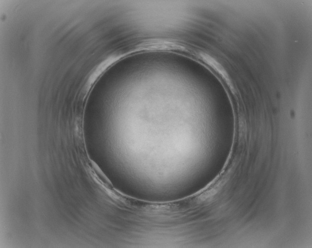 X0000061731481200512091532