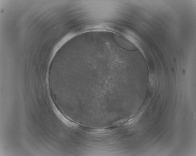 X0000061731482200512091532