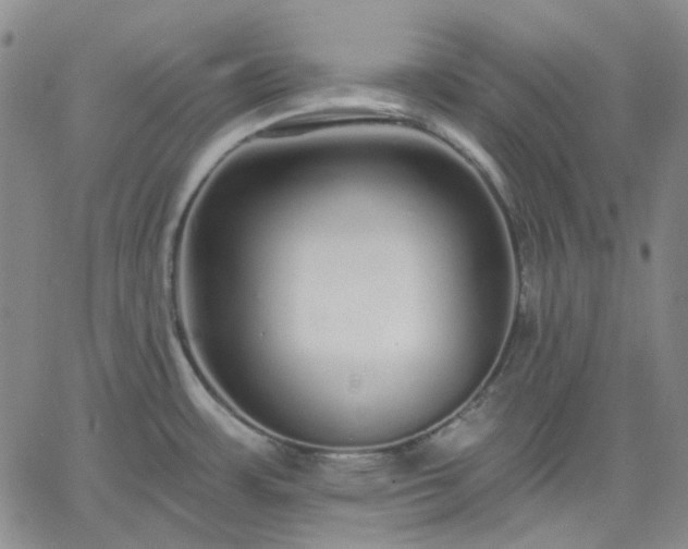 X0000061731483200512091532