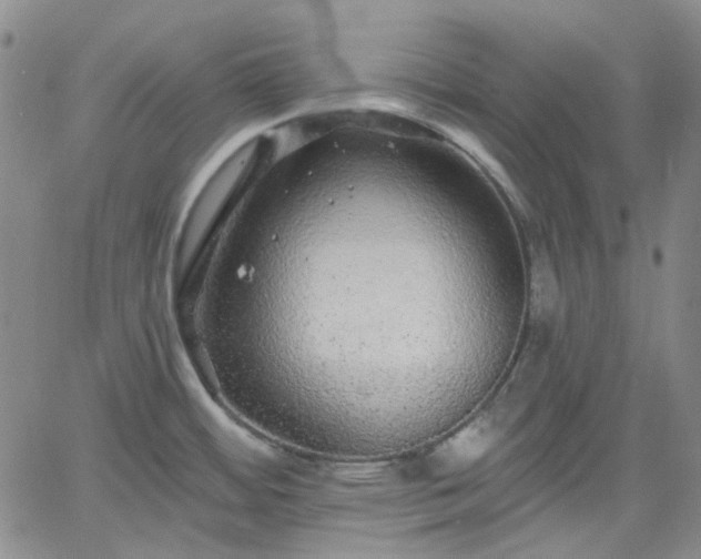 X0000061731484200512091532