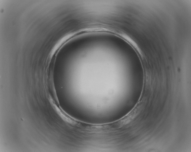 X0000061731485200512091532