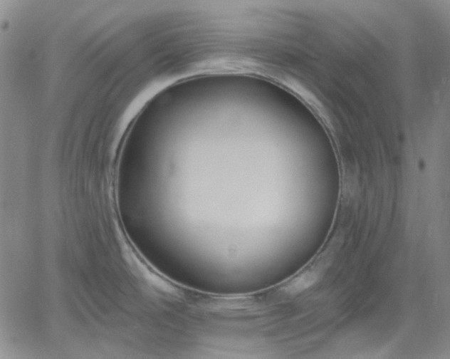 X0000061731486200512091532