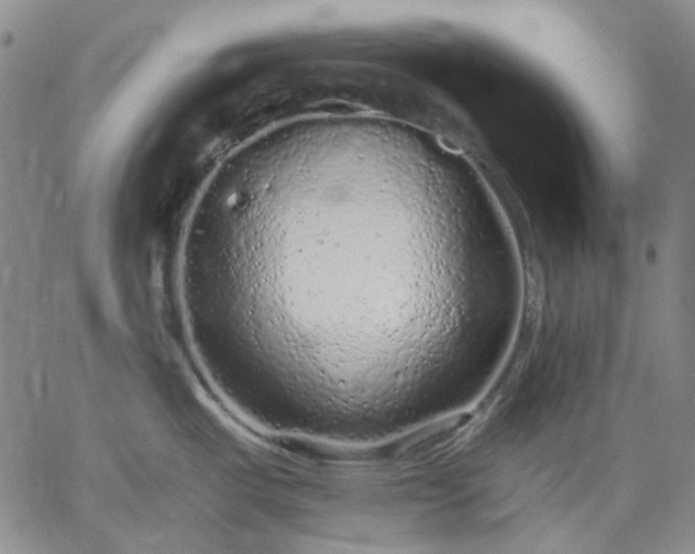 X0000061731487200512091532