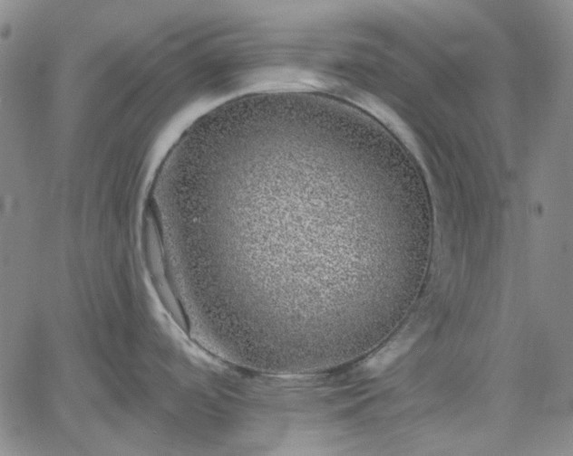 X0000061731488200512091532