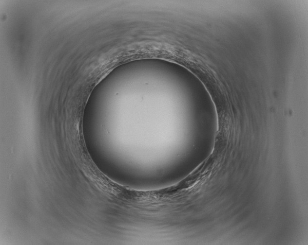 X0000061731489200512091531