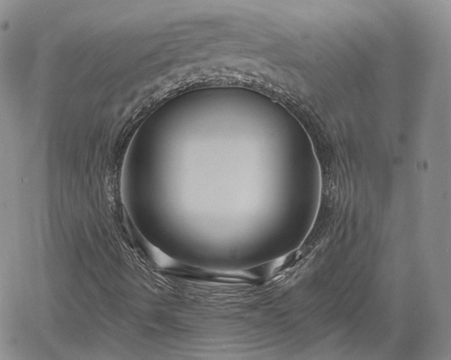 X0000061731490200512091531