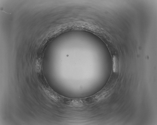 X0000061731491200512091532