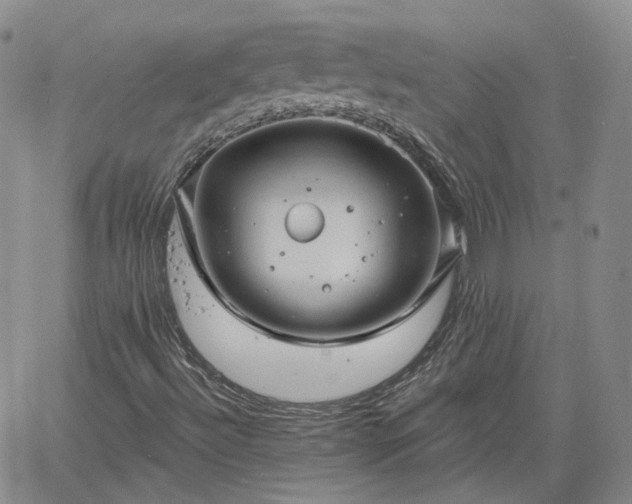 X0000061731492200512091532