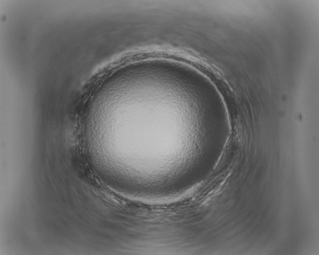 X0000061731494200512091532