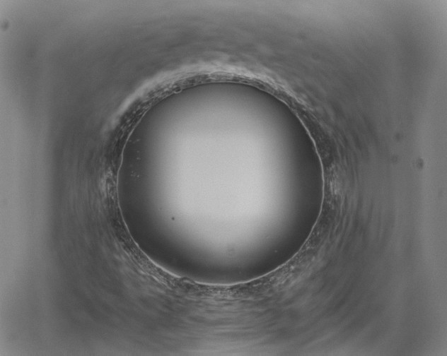 X0000061731495200512091532