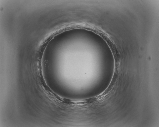 X0000061731496200512091532