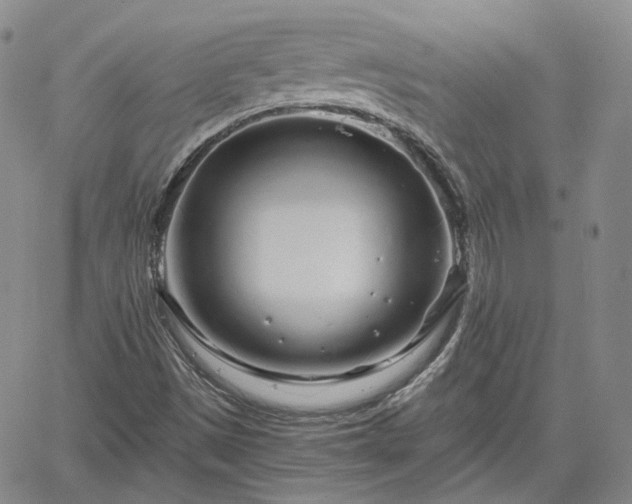 X0000061731497200512091532