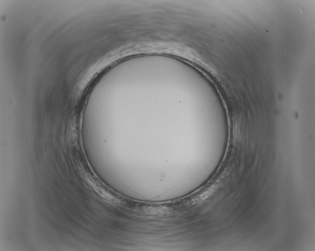 X0000061731498200512091532