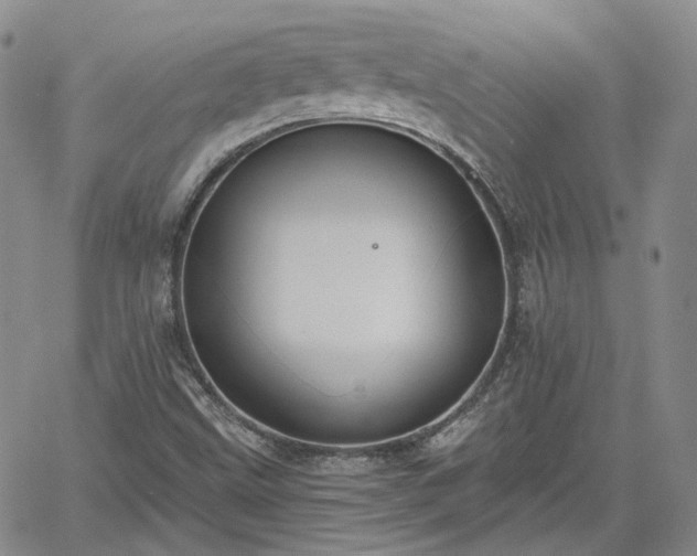 X0000061731499200512091532