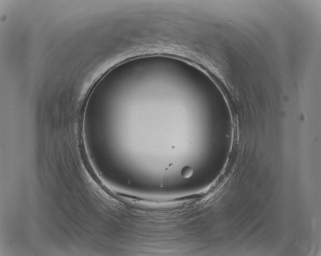 X0000061731500200512091532