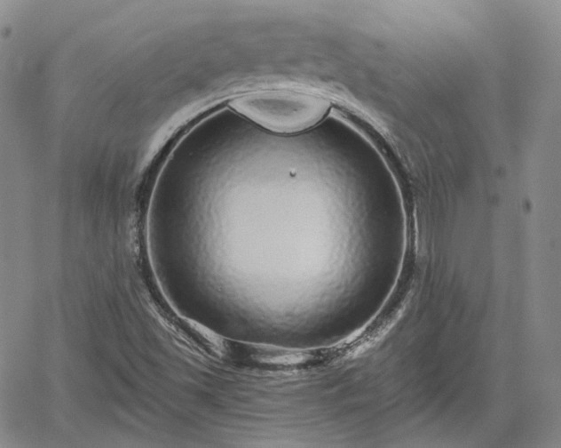 X0000061731501200512091532