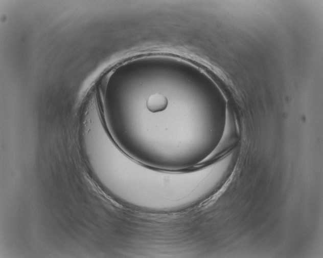 X0000061731502200512091532