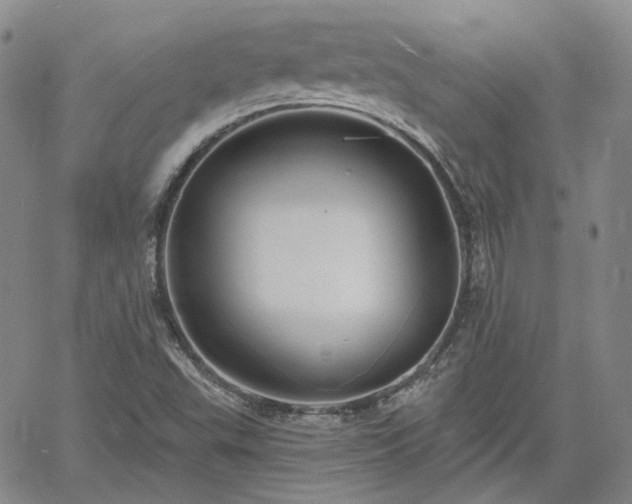 X0000061731503200512091532