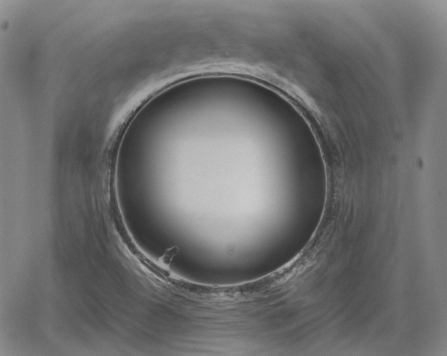 X0000061731504200512091532