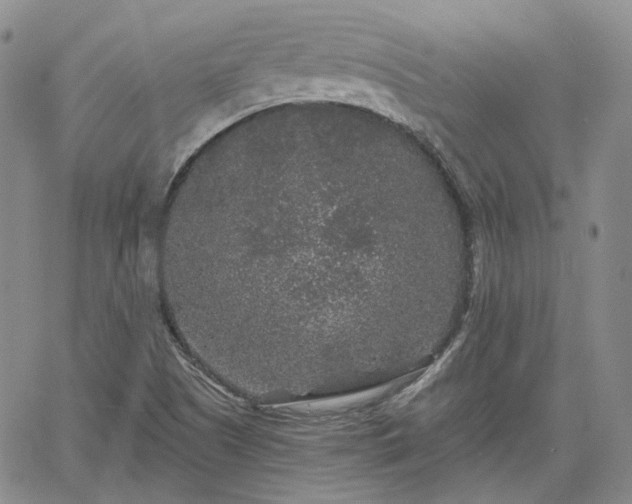 X0000061731505200512091532