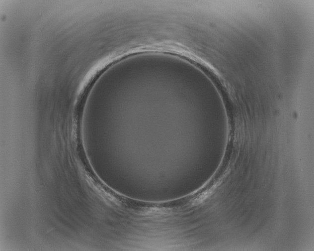 X0000061731506200512091532