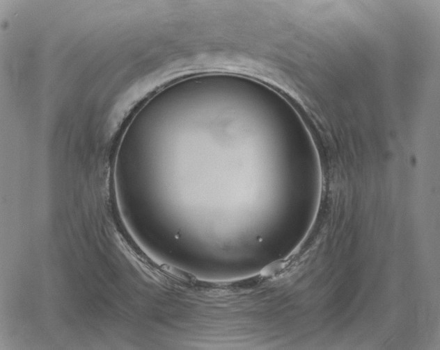 X0000061731507200512091532