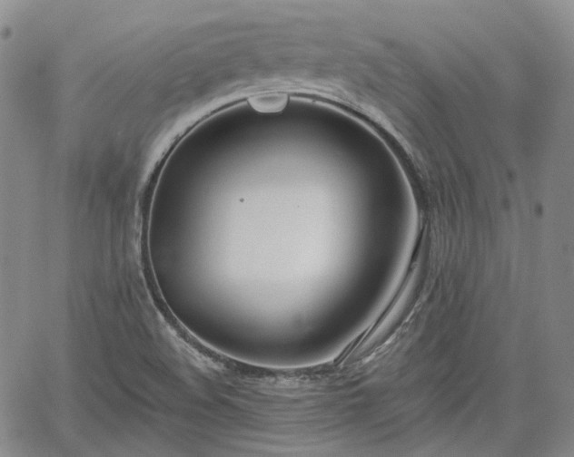 X0000061731508200512091532